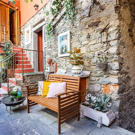 - Glicine - La Casa Dei Sogni